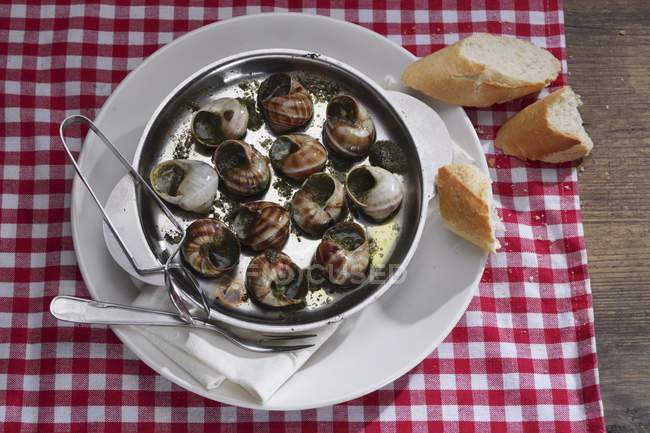 Closeup elevated view of vineyard snails with herb butter and baguette — Stock Photo