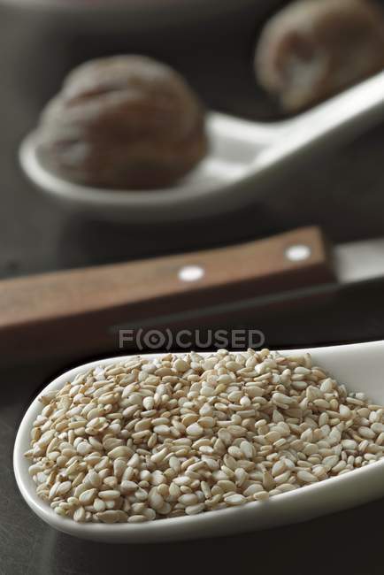 Семена кунжута на фарфоровой ложке — стоковое фото