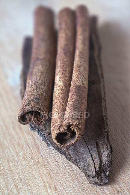 Bâtonnets de cannelle sur un morceau de cannelle cassia — Photo de stock