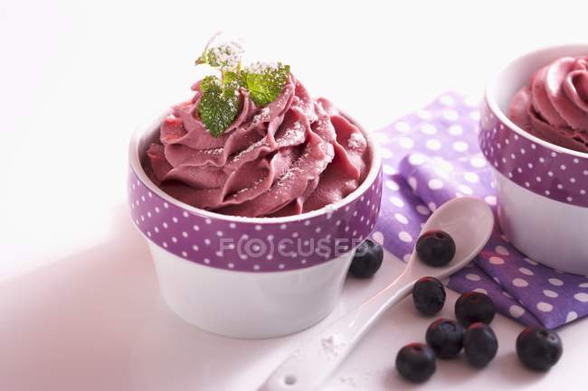 Blueberry ice cream — Stock Photo