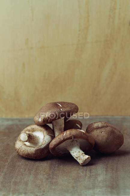 Fresh Shiitake Mushrooms — Stock Photo