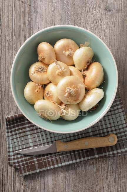 Onions on a turquoise plate — Stock Photo