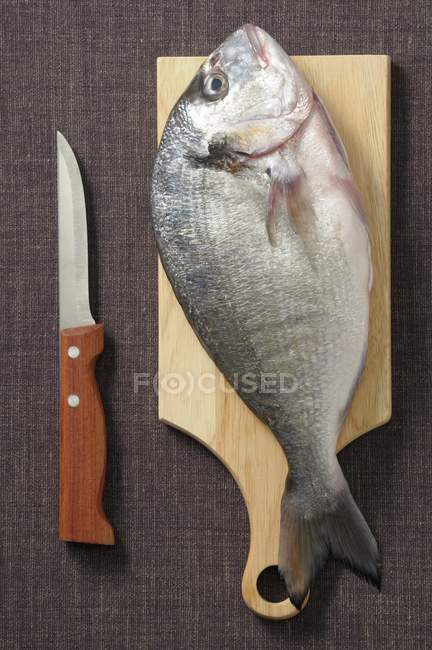 Fresh Sea bream on chopping board — Stock Photo