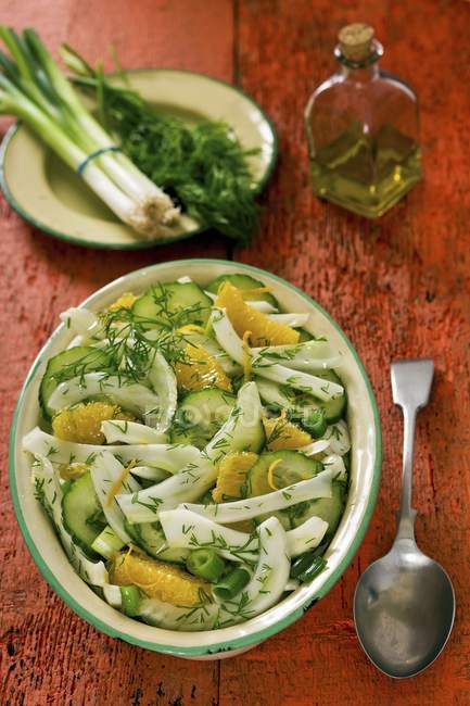 Fennel and dill salad with orange fillets and cucumber  over wooden surface — Stock Photo