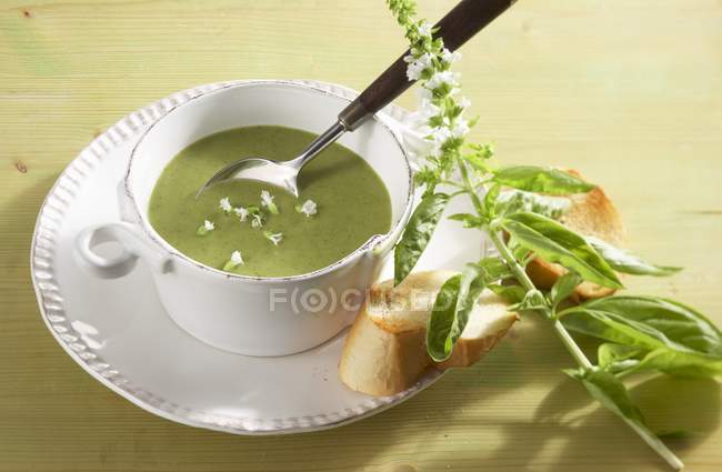 Broccoli and basil soup in white bowl — Stock Photo