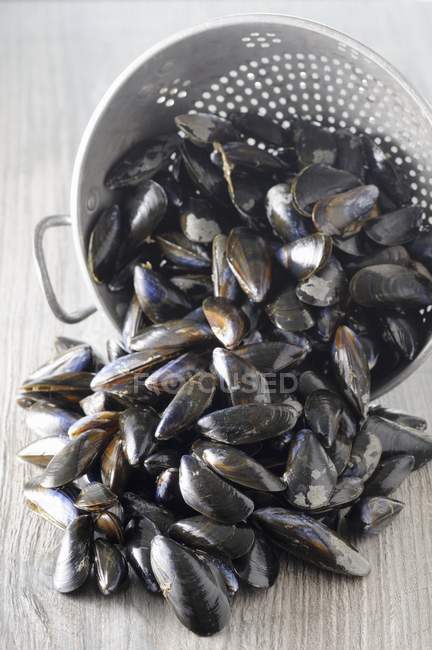 Fresh mussels and colander — Stock Photo