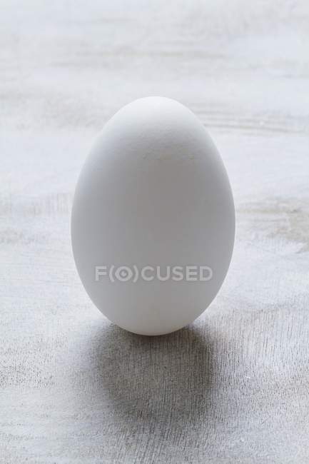 Яйцо свежего гуся — стоковое фото