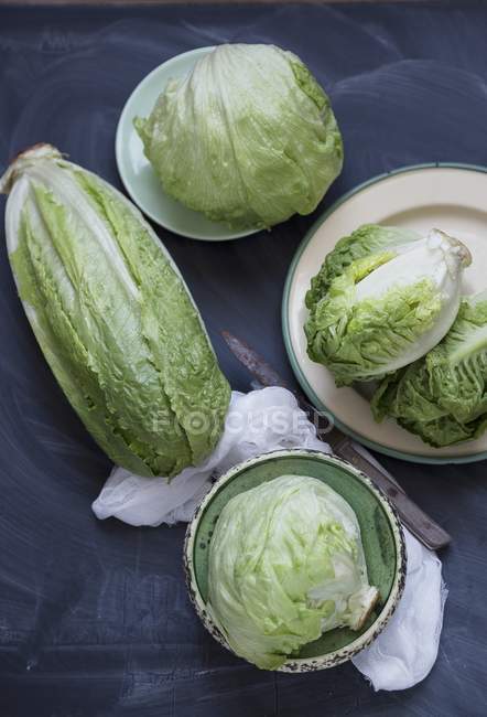 Various types of lettuce — Stock Photo