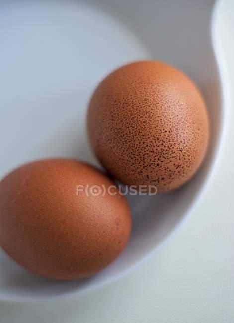 Zwei braune Eier — Stockfoto
