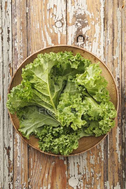 Fresh green cabbage — Stock Photo