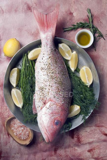Fresh red snapper with ingredients — Stock Photo
