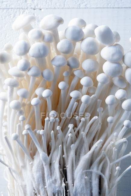 Close up of enoki mushrooms — Stock Photo