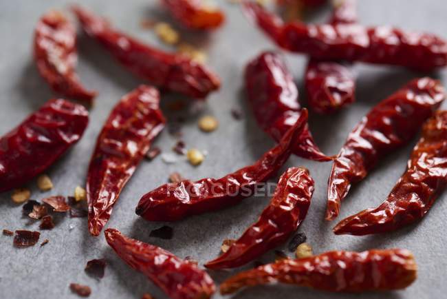 Dried extra hot chilli peppers — Stock Photo