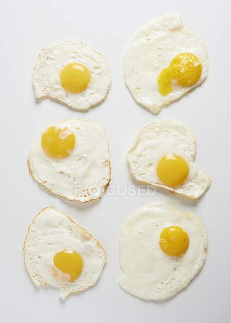 Six œufs frits — Photo de stock