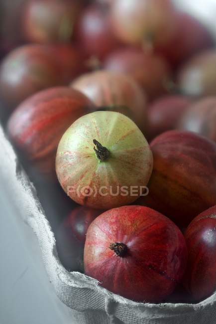Gooseberries in cardboard punnet — Stock Photo