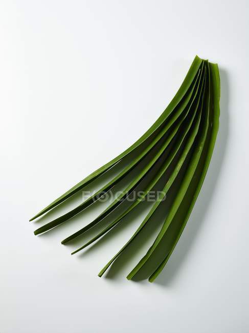 Closeup top view of Pandan leaves on a white surface — Stock Photo