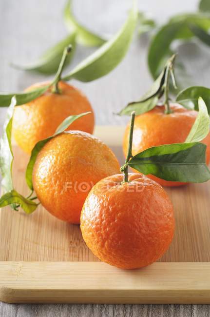 Clementinas maduras frescas — Fotografia de Stock