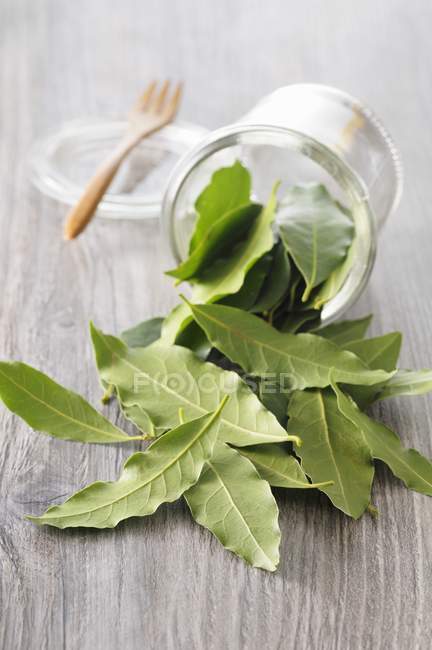 Bay leaves falling from glass jar — Stock Photo