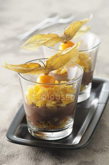 Chocolate cream with preserved citrus fruits — Stock Photo