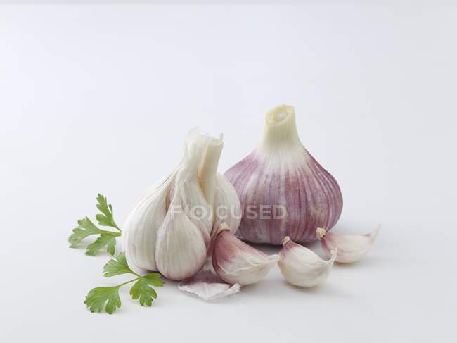 Bulb with garlic cloves — Stock Photo
