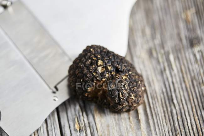 Burgundy truffle with slicer — Stock Photo