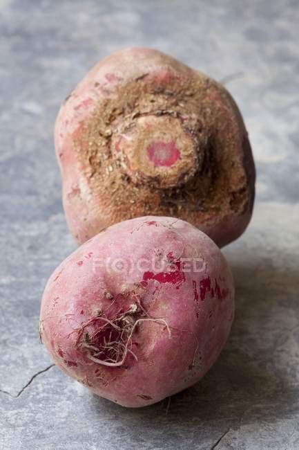 Two fresh beetroot — Stock Photo