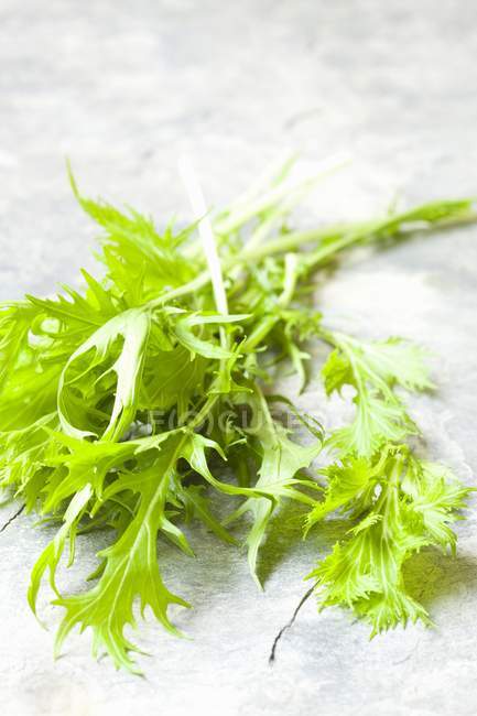 Fresh green Mizuna laying on wooden surface — Stock Photo
