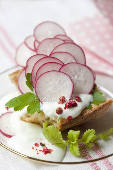 Sliced of bread with radishes — Stock Photo