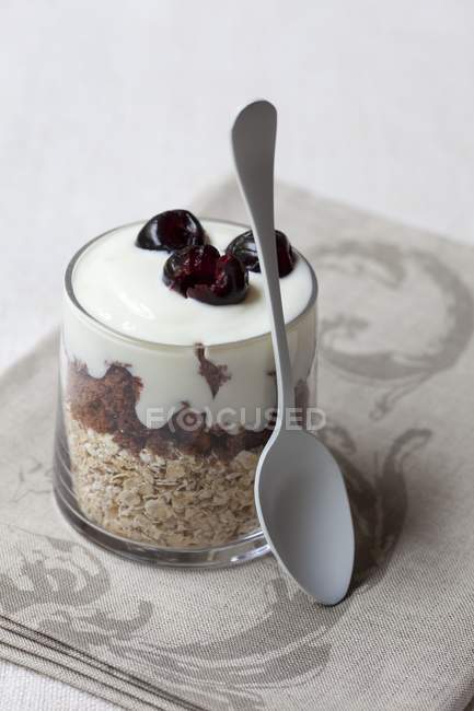 Muesli au yaourt à l'avoine — Photo de stock