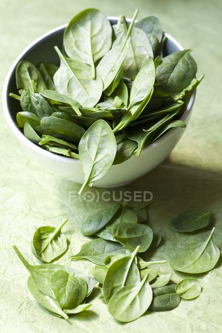 Fresh baby spinach leaves — Stock Photo