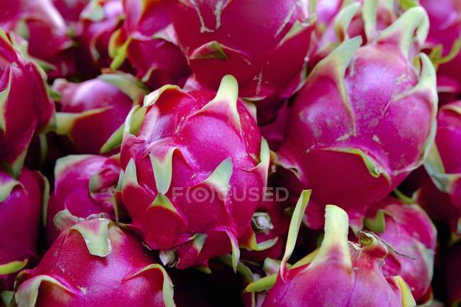 Frutas frescas de dragão maduras — Fotografia de Stock