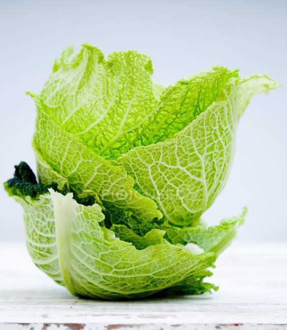 Savoy cabbage leaves — Stock Photo