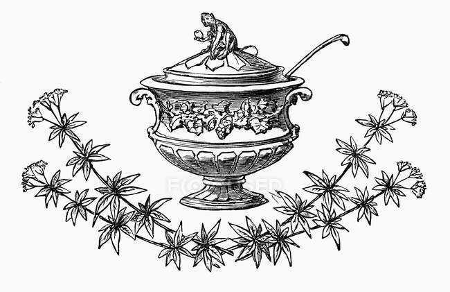 Ilustración de sopa festiva tureen con ramas y flores - foto de stock