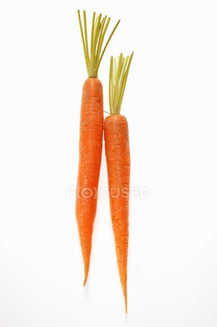 Свежая спелая морковь — стоковое фото