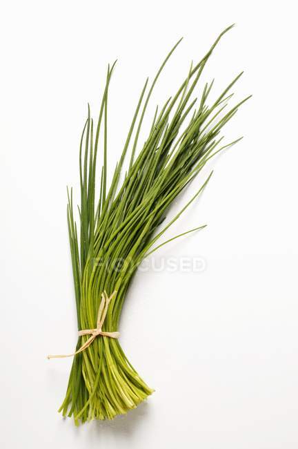 Mazzo di erba cipollina fresca legato con corda — Foto stock