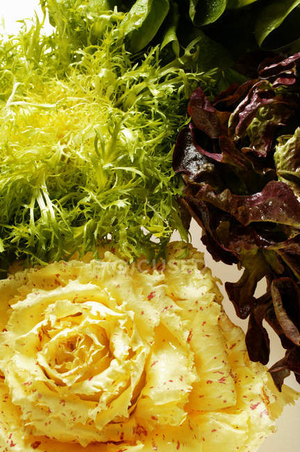 Folhas de salada sortidas — Fotografia de Stock