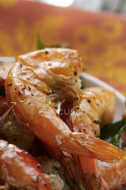 Fresh barbecued shrimps — Stock Photo