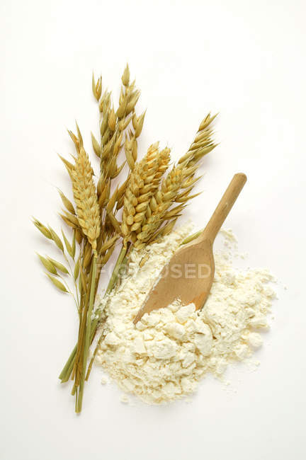 Cereal ears and flour with scoop — Stock Photo