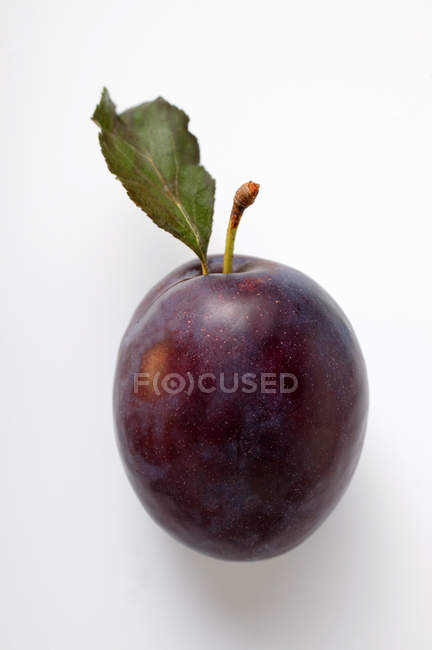 Ripe plum with leaf — Stock Photo