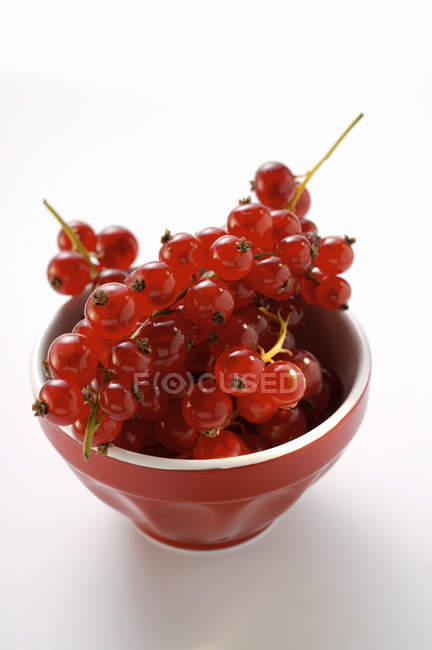 Свежие спелые красные смородины — стоковое фото