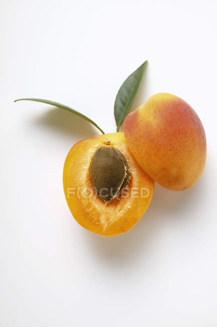 Halbierte frisch gepflückte Aprikose — Stockfoto