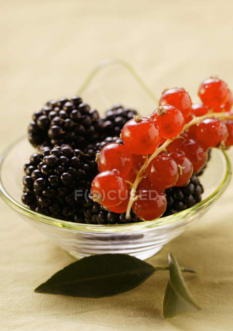 Fresh ripe blackberries and redcurrants — Stock Photo