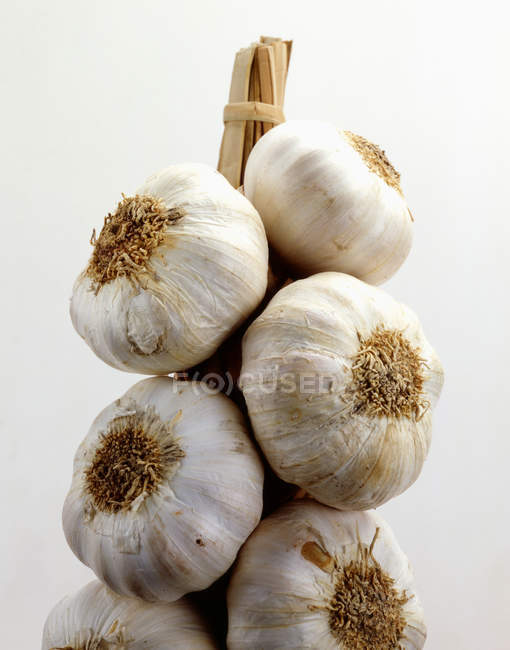 Fresh Garlic Braid — Stock Photo