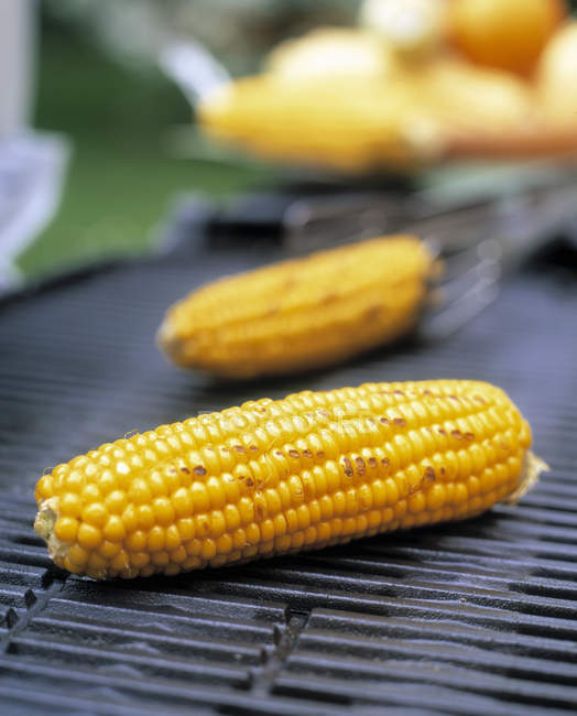 Жовтий Barbecued corncobs — стокове фото
