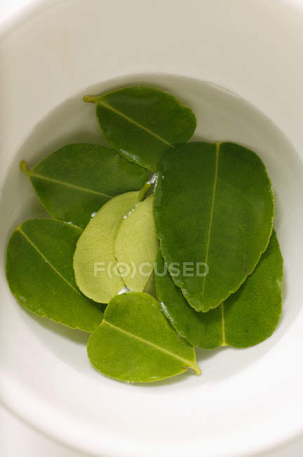 Lemon leaves soaked in water — Stock Photo