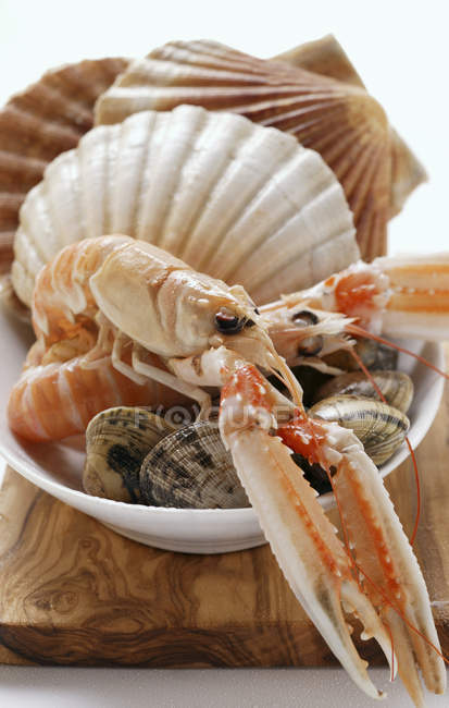 Vista close-up de scampi e moluscos em prato branco — Fotografia de Stock