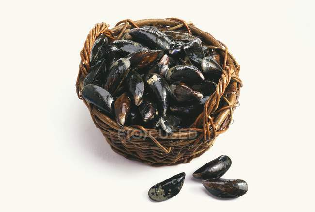 Fresh mussels in basket — Stock Photo