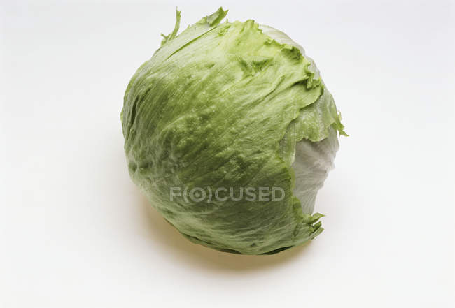 Green iceberg lettuce — Stock Photo