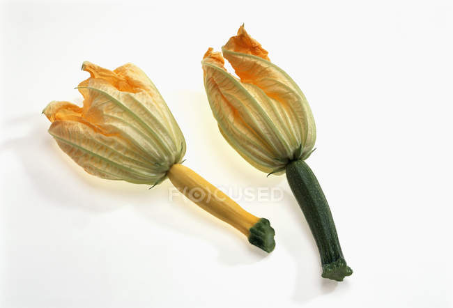 Fresh courgettes with flowers — Stock Photo