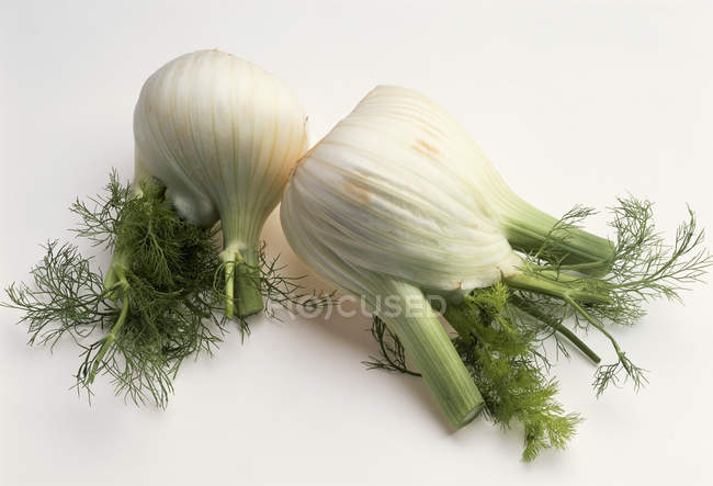 Fennel bulbs with leaves — Stock Photo